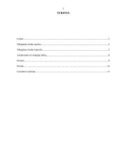 Nelegalaus darbo samprata, jo kontrolė. Atsakomybė už nelegalų darbą 2 puslapis