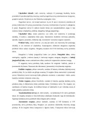 Nervų sistemos veikla 12 puslapis