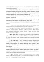 Nervų sistemos veikla 13 puslapis