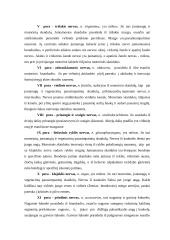 Nervų sistemos veikla 14 puslapis