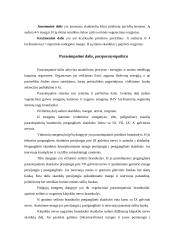 Nervų sistemos veikla 17 puslapis