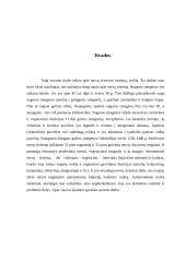 Nervų sistemos veikla 19 puslapis