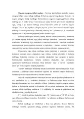 Nervų sistemos veikla 4 puslapis