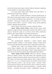 Nervų sistemos veikla 5 puslapis