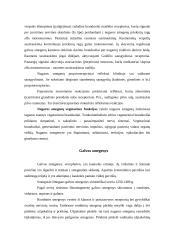 Nervų sistemos veikla 6 puslapis