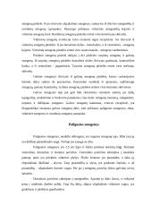 Nervų sistemos veikla 7 puslapis