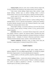 Nervų sistemos veikla 9 puslapis