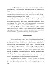 Nervų sistemos veikla 10 puslapis