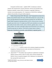 Operatyvioji atmintis 2 puslapis