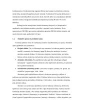 Operatyvioji atmintis 4 puslapis