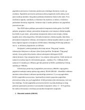 Operatyvioji atmintis 5 puslapis