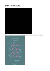 Organinės molekulės 2 puslapis