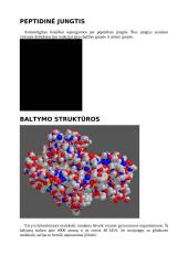 Organinės molekulės 6 puslapis