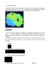 Organinės molekulės 9 puslapis