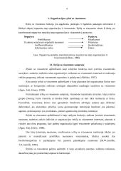 Organizacijos ryšiai su visuomene 3 puslapis