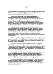 Parazitai, grybai, jų pavyzdžiai ir reikšmė 2 puslapis