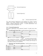 Paskirstytosios duomenų bazių sistemos 6 puslapis