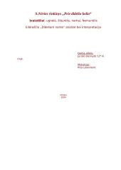 Eilėraščio „Dideliam name“ analizė 10 puslapis