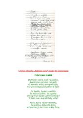 Eilėraščio „Dideliam name“ analizė 6 puslapis