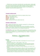 Eilėraščio „Dideliam name“ analizė 8 puslapis