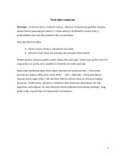 Pastraipa – pagrindinis teksto vienetas. Jos kūrimas 4 puslapis