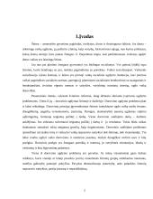 Pavydas ir tingėjimas 2 puslapis