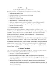 Pavojingų medžiagų vežimas 10 puslapis