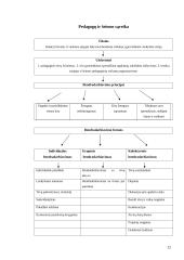 Pedagogo ir tėvų bendradarbiavimas 13 puslapis
