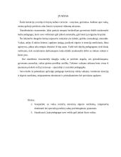 Pedagogo korekcinis vaidmuo 3 puslapis