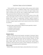 Pedagogo korekcinis vaidmuo 4 puslapis