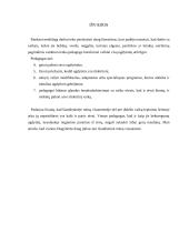 Pedagogo korekcinis vaidmuo 10 puslapis