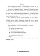 Pelno mokestis. Pajamų pripažinimo principai, apskaičiavimo tvarka 3 puslapis