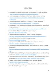 Penkių konkurencinių jėgų modelio analizė įmonėje UAB "TELE2" 20 puslapis