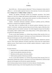 Pirminiai apskaitos dokumentai bei internetinė bankininkystė 2 puslapis