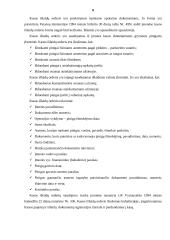 Pirminiai apskaitos dokumentai bei internetinė bankininkystė 8 puslapis