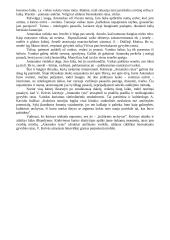 V. Krėvė-Mickevičius "Antanuko rytas" - ištraukos interpretacija 2 puslapis