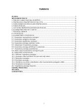 Poilsio laiko teisinis reguliavimas 2 puslapis