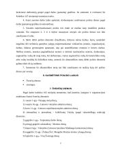 Poilsio laiko teisinis reguliavimas 6 puslapis