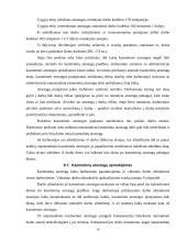 Poilsio laiko teisinis reguliavimas 10 puslapis