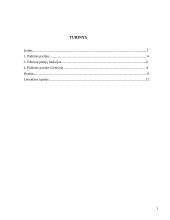 Politinės partijos Lietuvoje ir jų funkcijos 2 puslapis