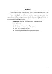 Prekių asortimentas ir vaidmuo rinkoje 2 puslapis
