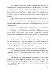 Prekių asortimentas ir vaidmuo rinkoje 11 puslapis