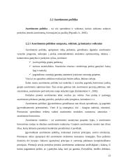 Prekių asortimentas ir vaidmuo rinkoje 13 puslapis