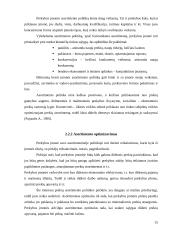 Prekių asortimentas ir vaidmuo rinkoje 15 puslapis