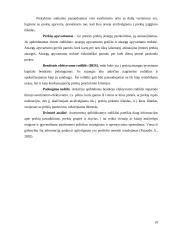 Prekių asortimentas ir vaidmuo rinkoje 19 puslapis