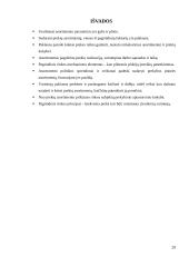 Prekių asortimentas ir vaidmuo rinkoje 20 puslapis