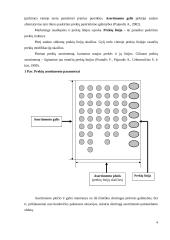 Prekių asortimentas ir vaidmuo rinkoje 4 puslapis