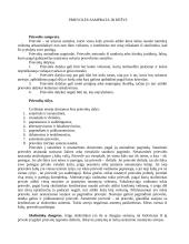 Prievolė. Darbo sutartis. Nusikaltimas ir baudžiamasis nusižengimas 3 puslapis