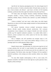 Privatizavimo eigos analizavimas: AB "Lietuvos avialinijos" 13 puslapis