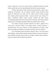 Privatizavimo eigos analizavimas: AB "Lietuvos avialinijos" 18 puslapis